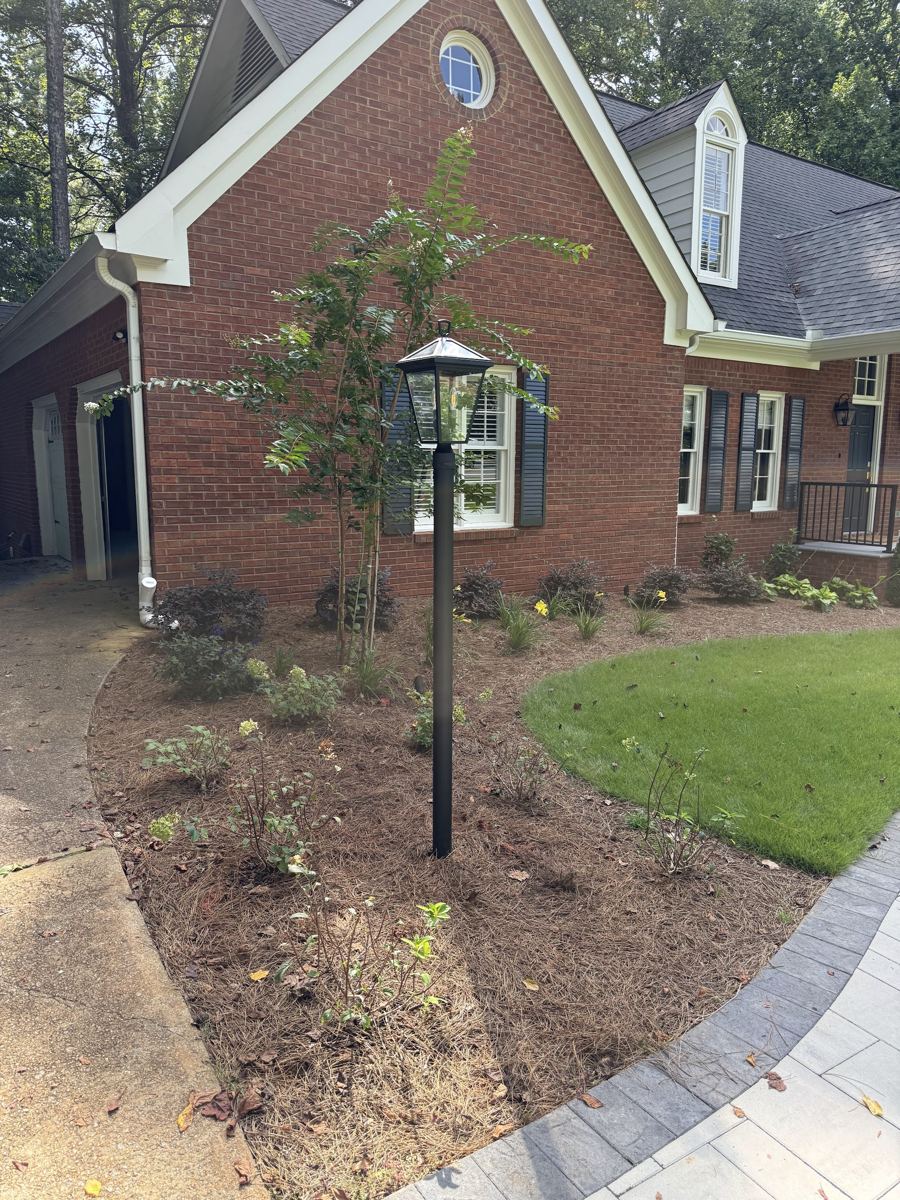 Landscape post light installed by a front walkway